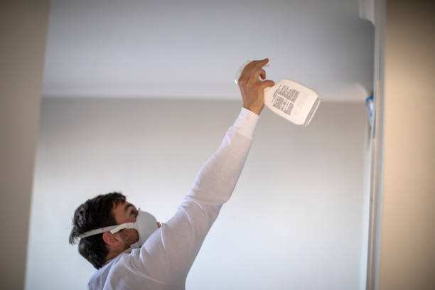 Best HVAC Mold Remediation in Braska City, NE