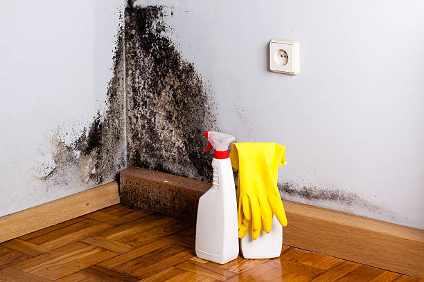 Nebraska City, NE Mold Remediation Company